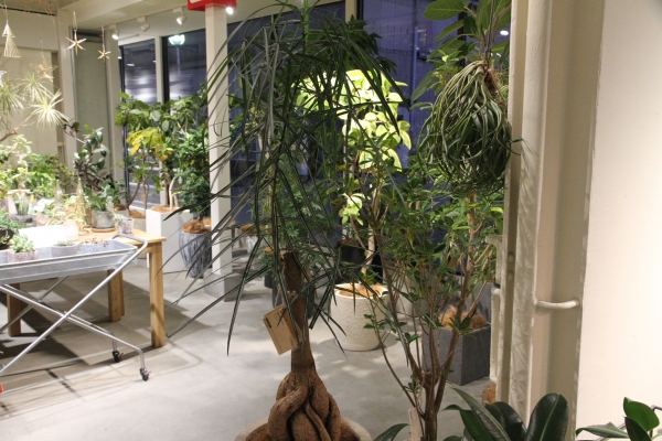 ba57c10ca4c7a6b15a0c00f7f7d9e0